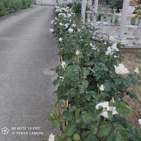 فيلا La Casa Delle Rose 2 Giba المظهر الخارجي الصورة