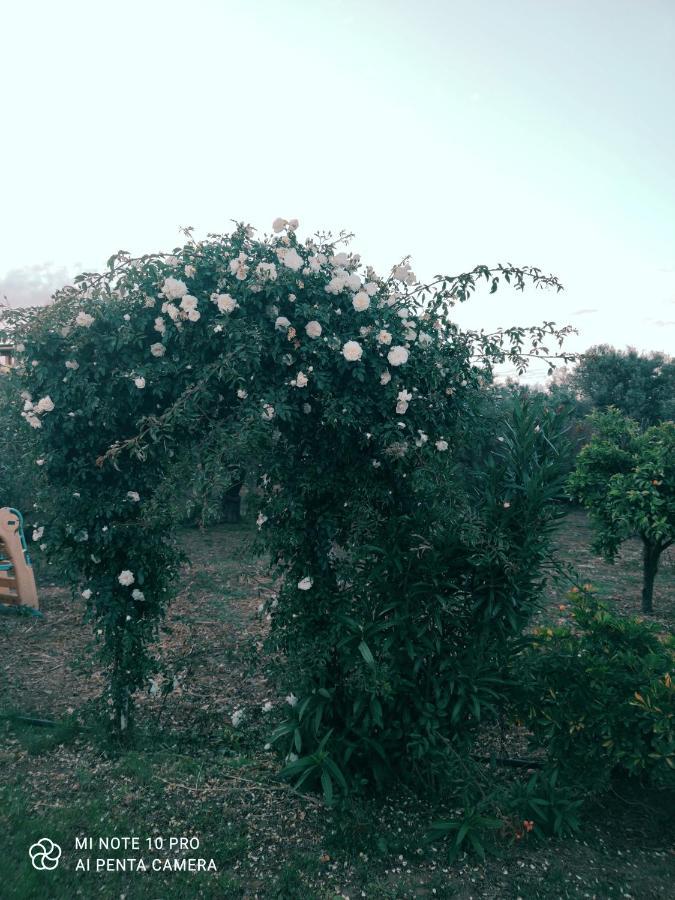 فيلا La Casa Delle Rose 2 Giba المظهر الخارجي الصورة